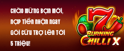 Thưởng Chào Mừng 100% Nạp Đầu promotional banner