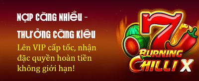 Đỉnh Cao Game Bài Trực Tuyến