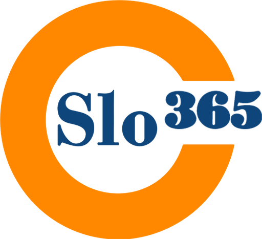 vnslo365 Logo